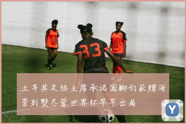 土耳其足协主席承诺国脚们获赠海景别墅尽管世界杯早早出局
